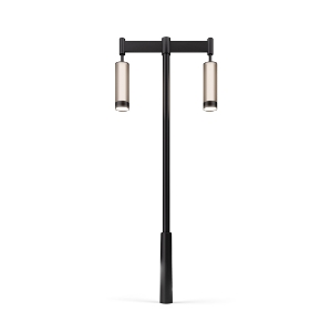 Picture of 2-Way Pole Light for Outdoor Application