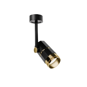 Picture of Colt Focus Zoom Light Surface