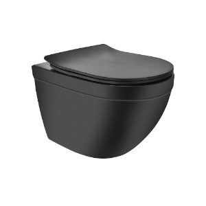 Picture of Rimless, Blind Installation Wall Hung WC - Black Matt
