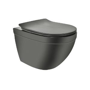 Picture of Rimless, Blind Installation Wall Hung WC - Grey Matt